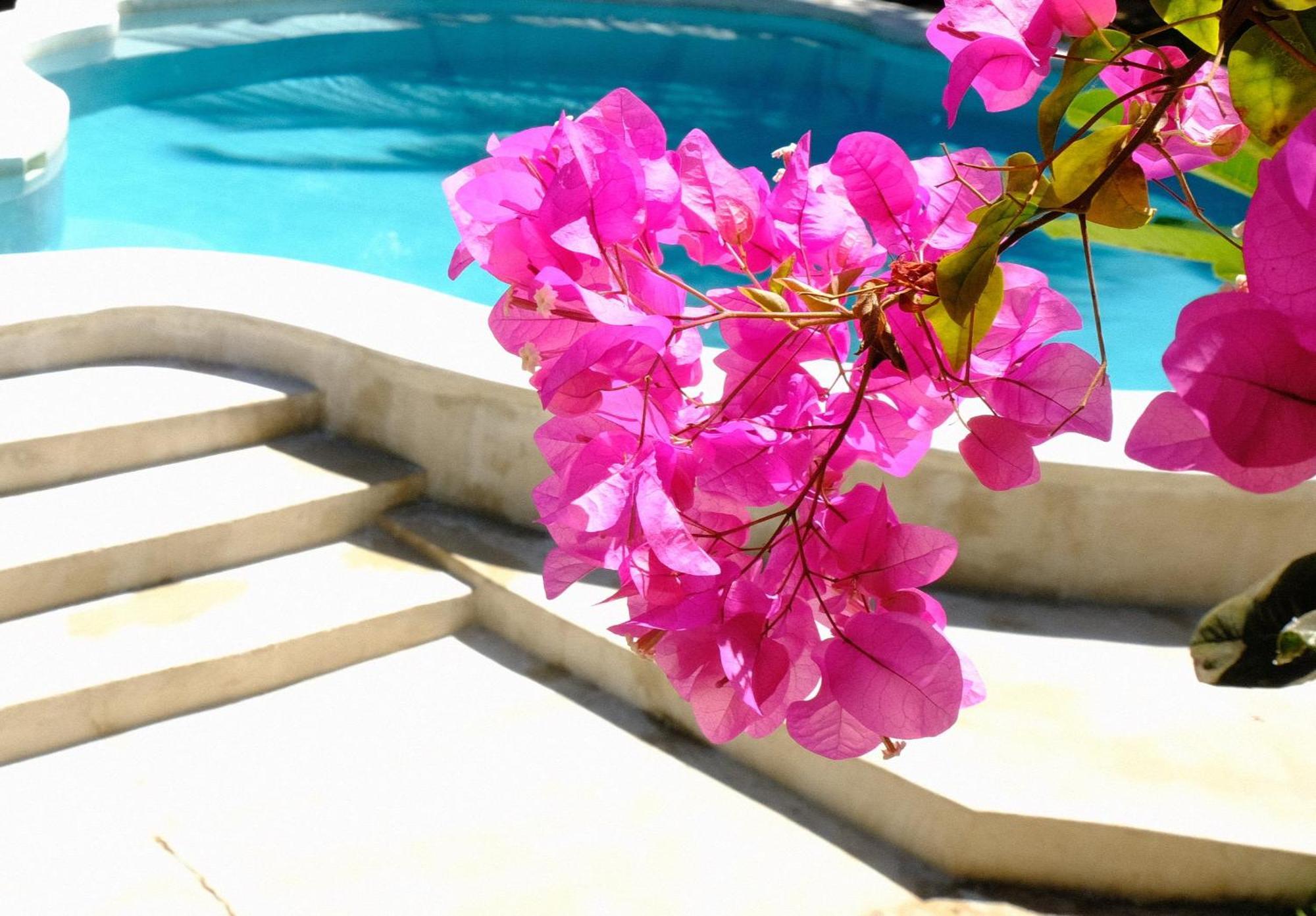 Kobe House Bed & Breakfast Джамбиани Екстериор снимка